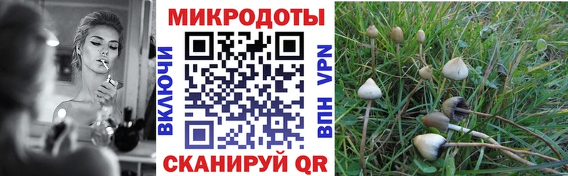 Купить  Шилка  Галлюциногенные грибы ЛСД 